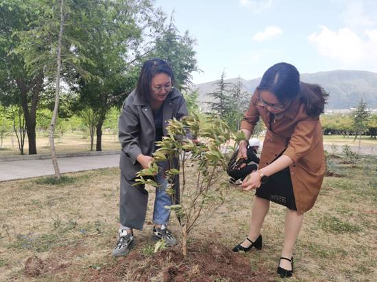 QQ图片20210506101029